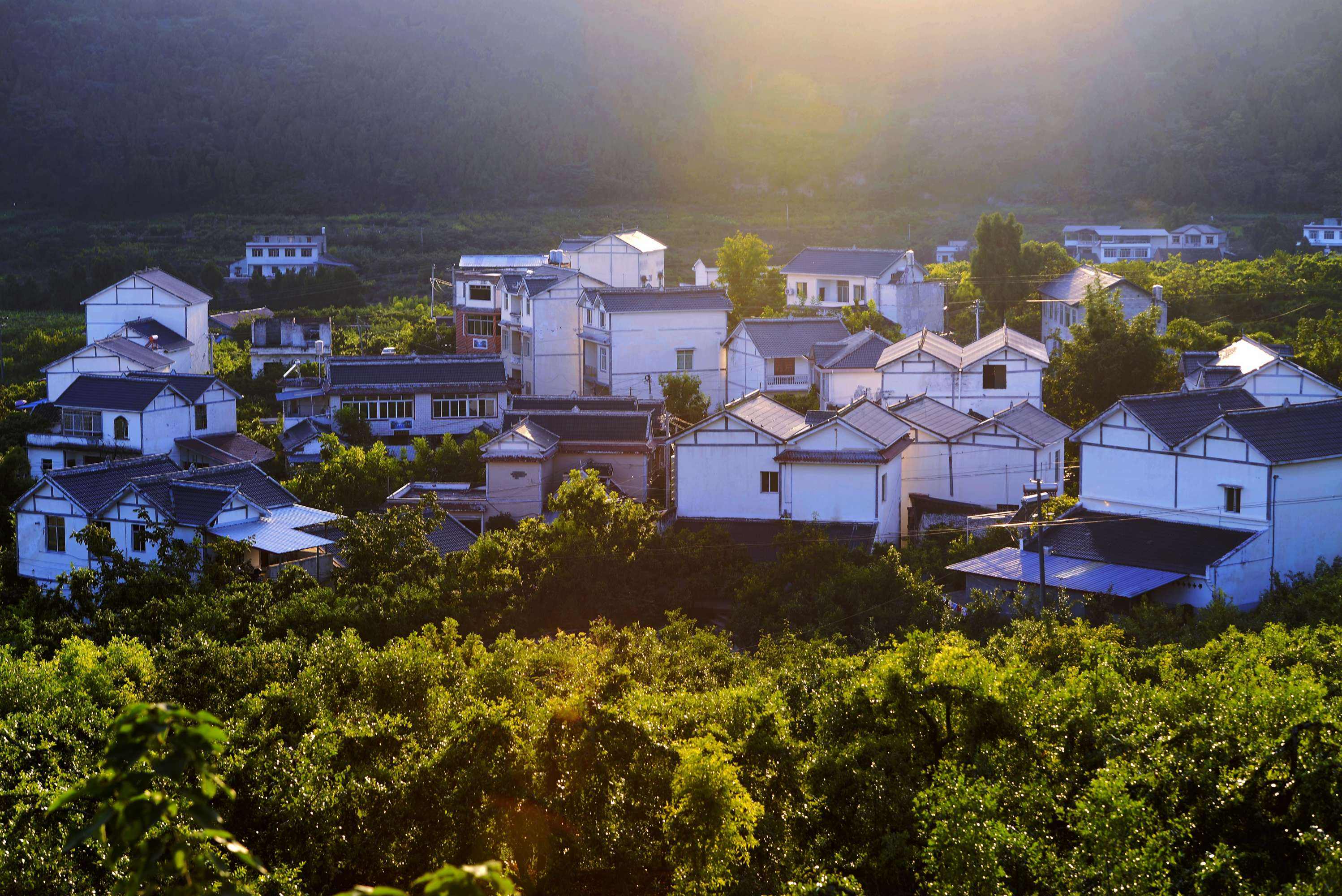 鄉村美景.jpeg 鄉村美景.jpeg