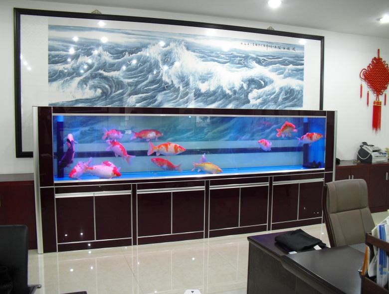 家里養(yǎng)魚幾條最好.png 家里養(yǎng)魚幾條最好.png