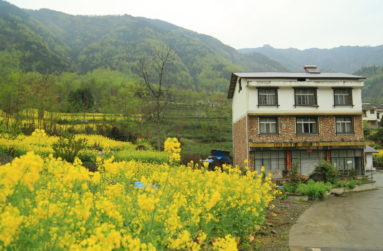 什么樣的路沖越沖越旺.png 什么樣的路沖越沖越旺.png