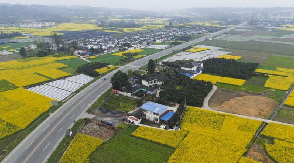 農村這三種違建可不拆 (2).png 農村這三種違建可不拆 (2).png