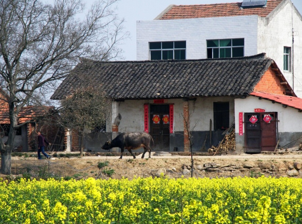 農(nóng)村風(fēng)水陽(yáng)宅三要看指什么?.png 農(nóng)村風(fēng)水陽(yáng)宅三要看指什么?.png