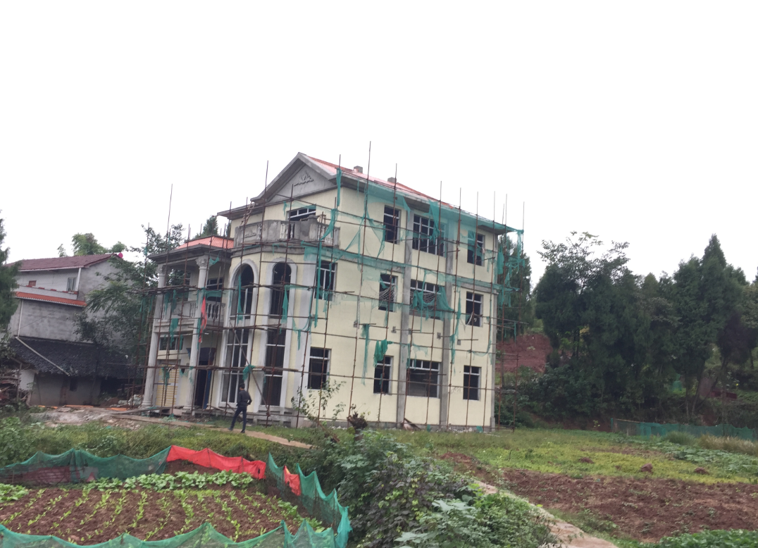 農村自建房優缺點 (2).png 農村自建房優缺點 (2).png