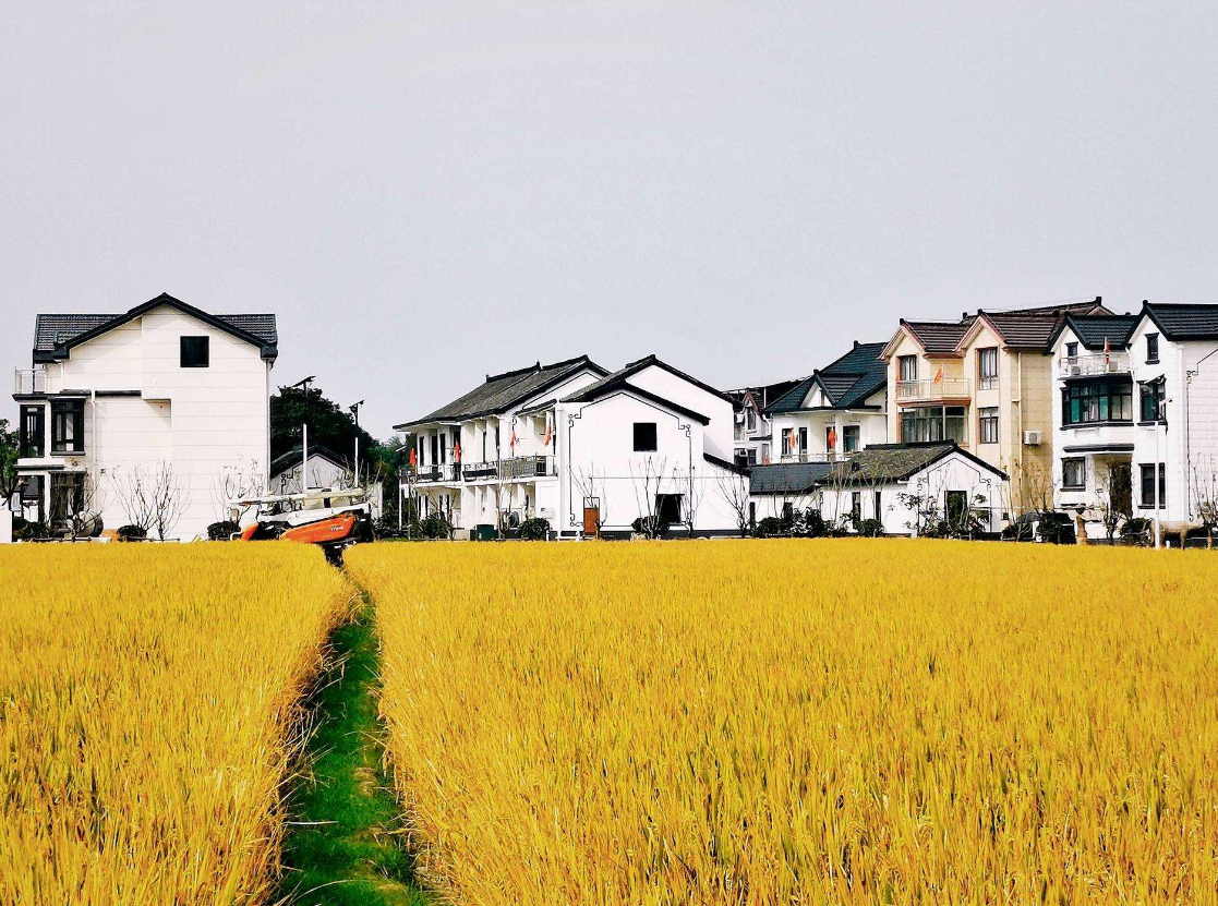 農村自建房面積超了怎么辦呢.png 農村自建房面積超了怎么辦呢.png