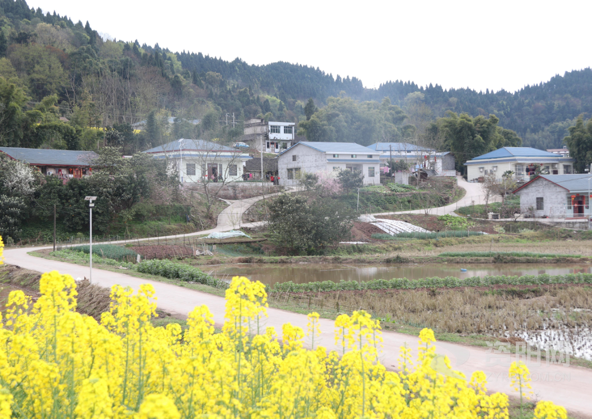 農村自建房面積超了怎么辦呢 (2).png 農村自建房面積超了怎么辦呢 (2).png
